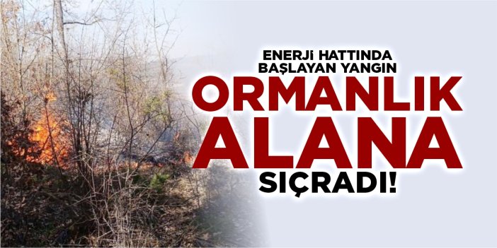 Enerji nakil hattında başlayan yangın ormanlık alana sıçradı