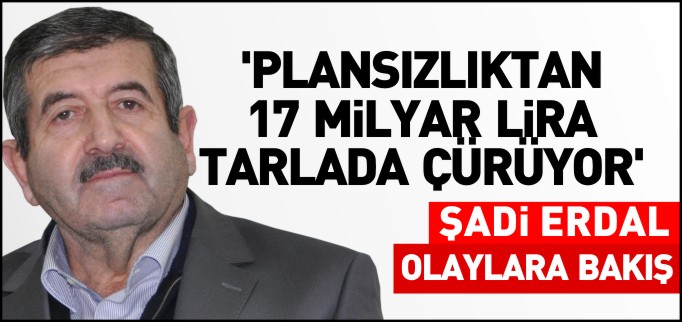 PLANSIZLIKTAN 17 MİLYAR LİRA TARLADA ÇÜRÜYOR 