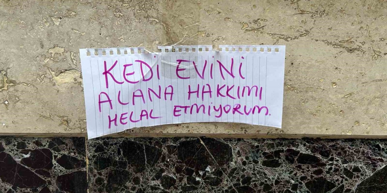 Kedi Evini Çalanlara Hakkını Helal Etmedi