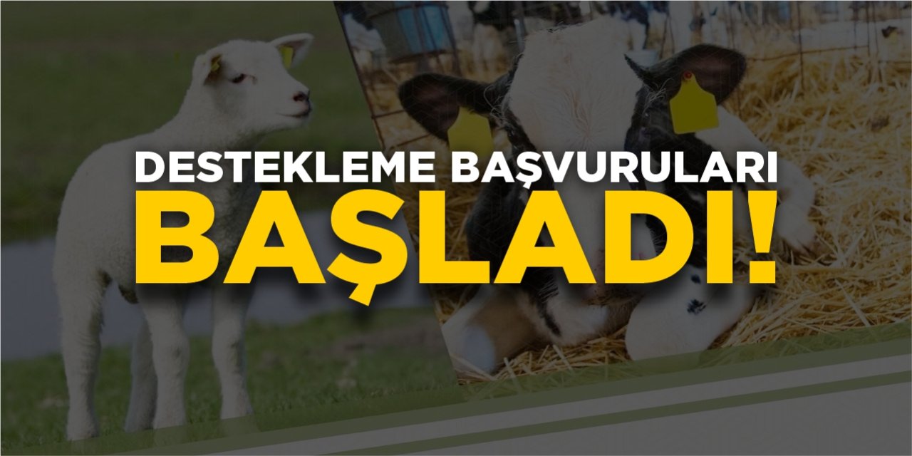 Destekleme başvuruları başladı