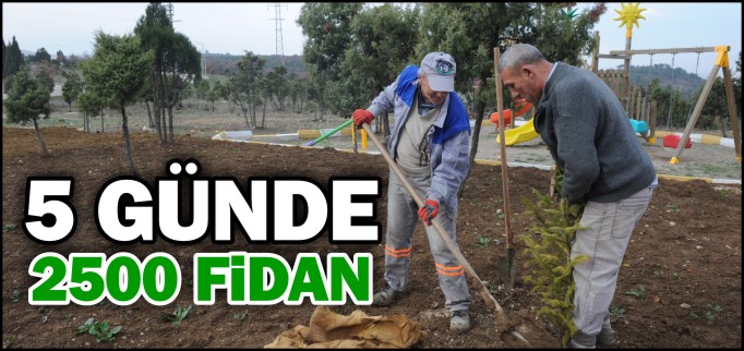 5 GÜNDE 2500 FİDAN DİKİLDİ