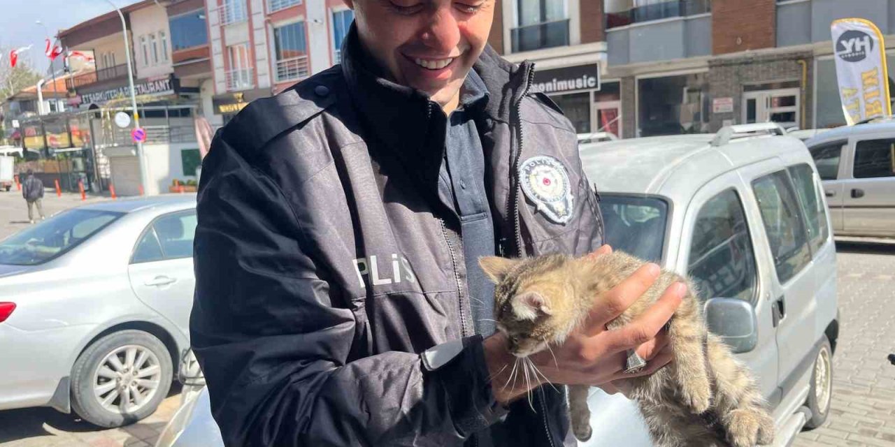 Aracın Motoruna Giren Yavru Kediyi Polis Kurtardı