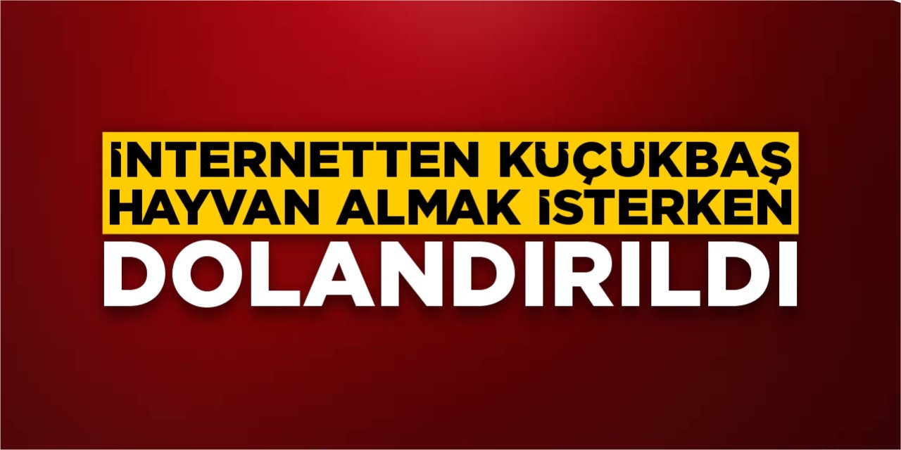 İnternetten küçükbaş hayvan almak isterken dolandırıldı