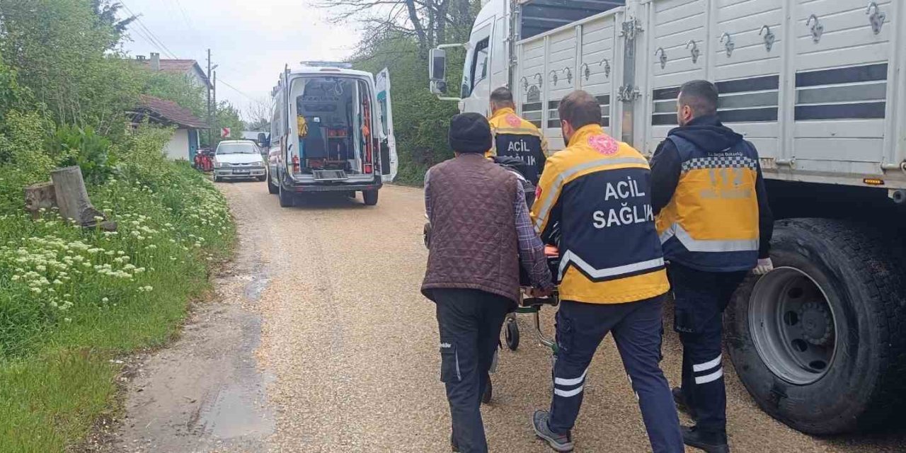 Kamyonların Çarpıştığı Kazada Sürücülerden Biri Yaralandı