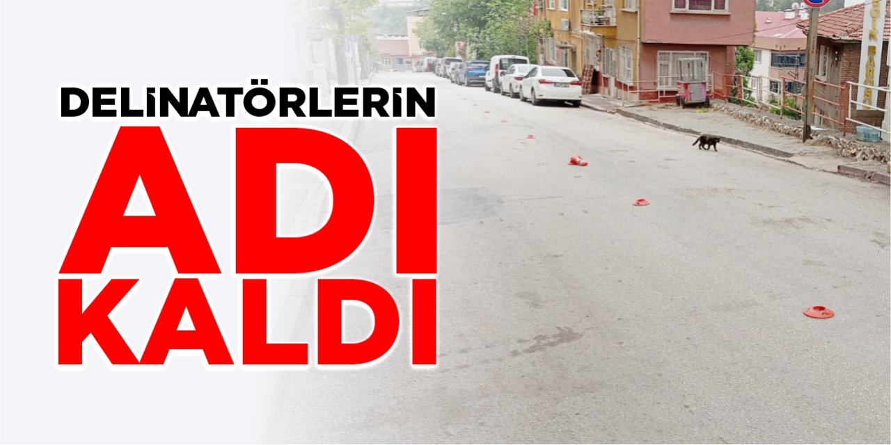 Delinatörlerin sadece adı kaldı!