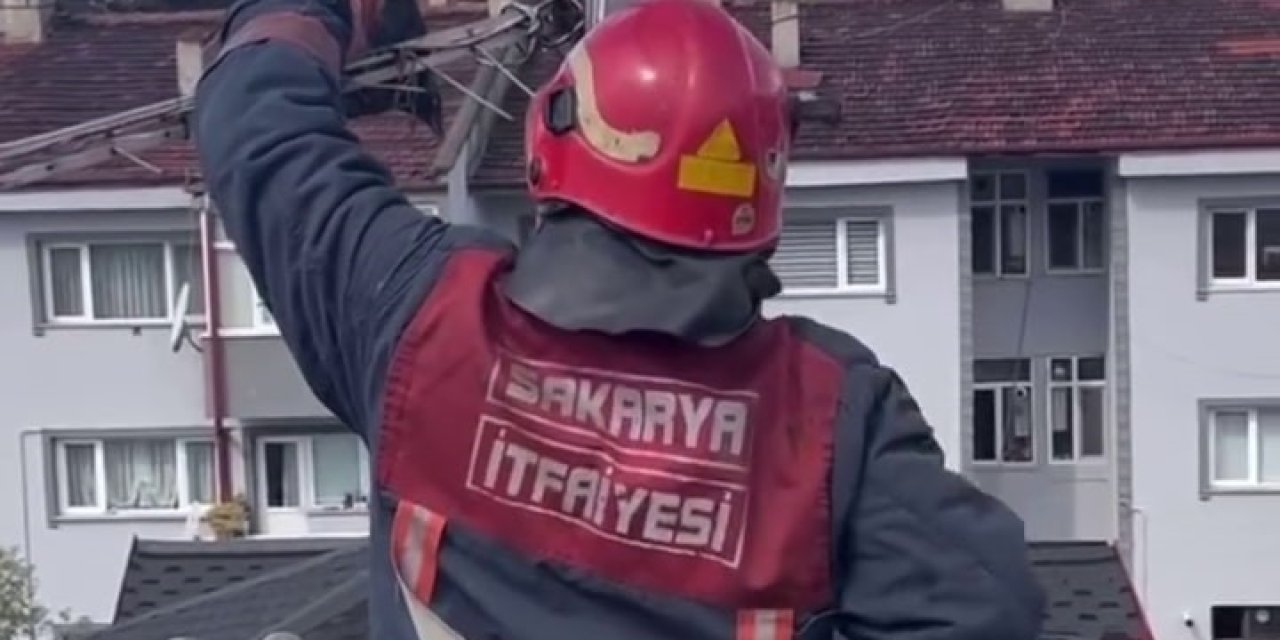 Antene Sıkışan Karga Özgürlüğüne Kavuştu