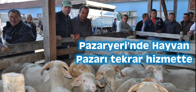 PAZARYERİ HAYVAN PAZARI TEKRAR HİZMETTE