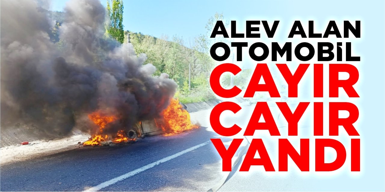 Alev alan otomobil cayır cayır yandı!