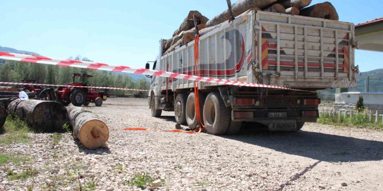 Tonlarca Tomruk Üzerine Devrildi!