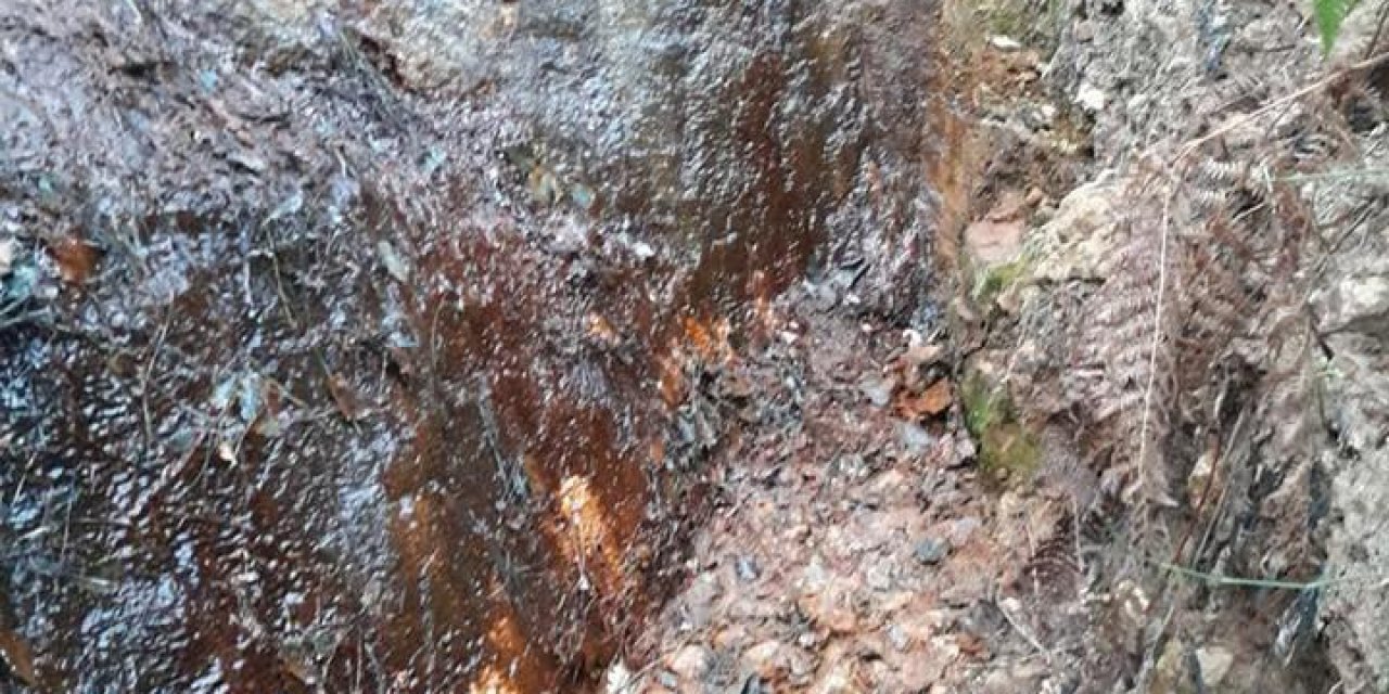 Osmaneli’de asırlık rivayet: Sarıkız’ın yine ağladı