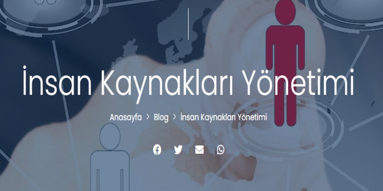 GFC Loyalty ile Güçlü ve Verimli Sadakat Programları