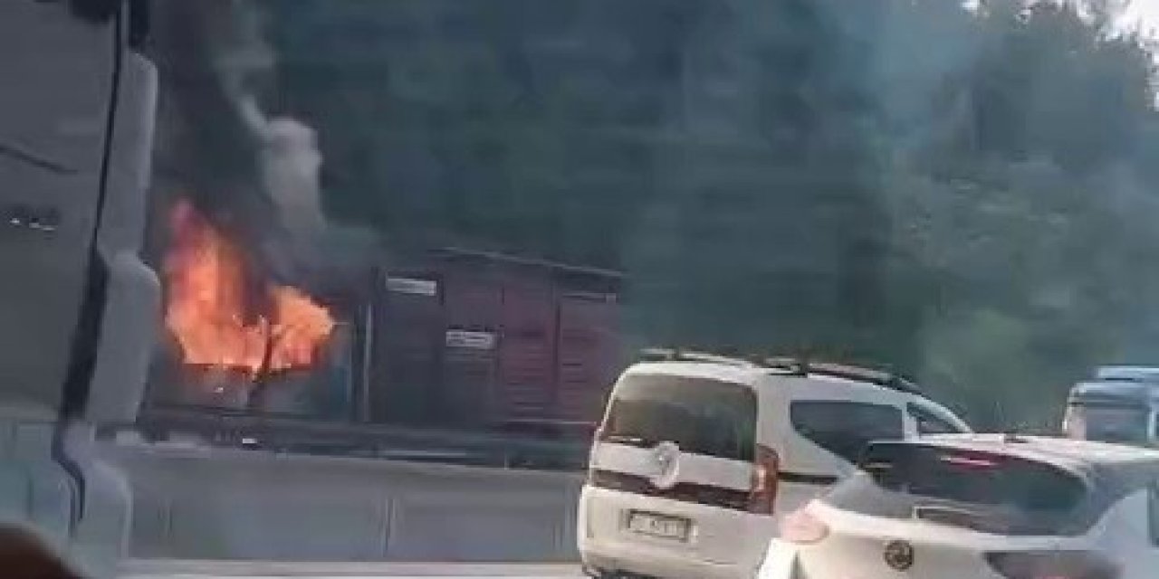 Hayvan Yüklü Kamyon Alev Aldı