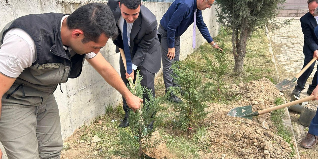 Osmaneli'nde Fidanlar Toprakla Buluştu