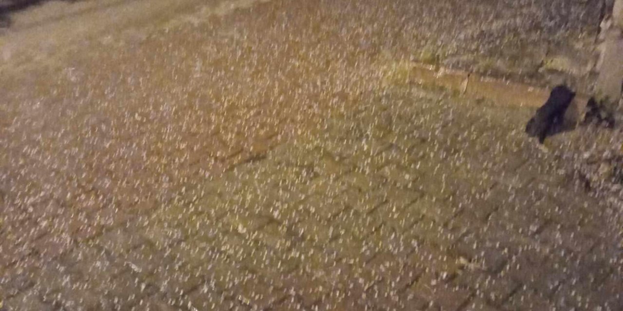 Osmaneli’nde sürpriz dolu yağışı