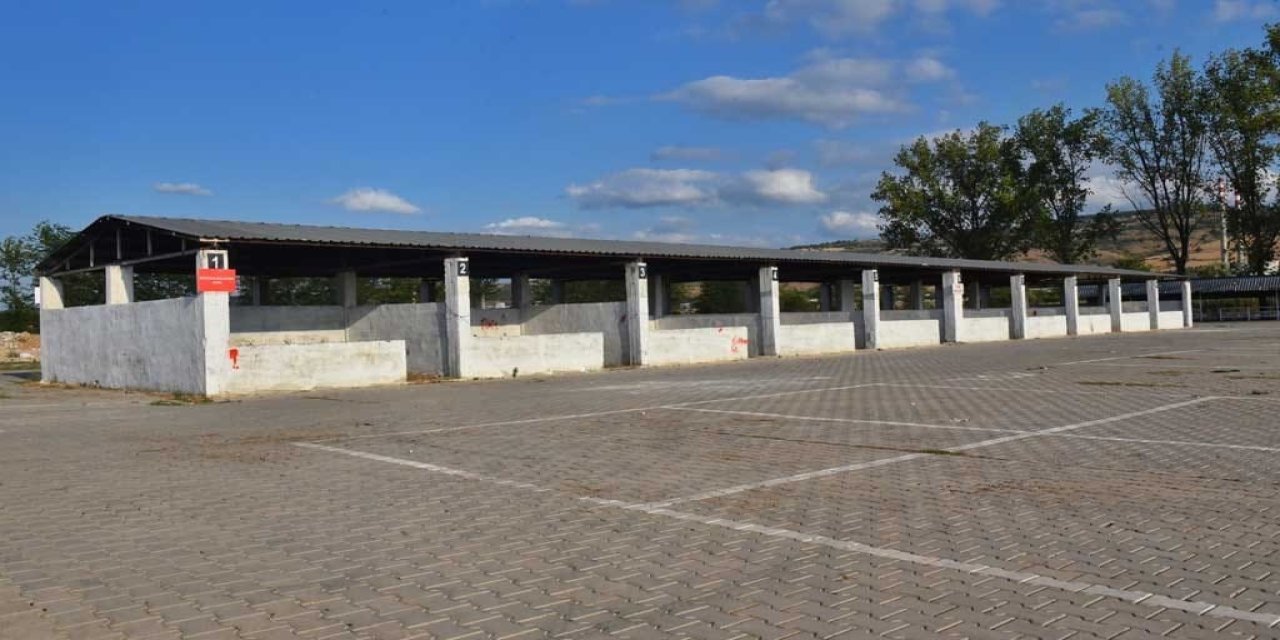 Şap Karantinası Uygulanmaya Başlandı