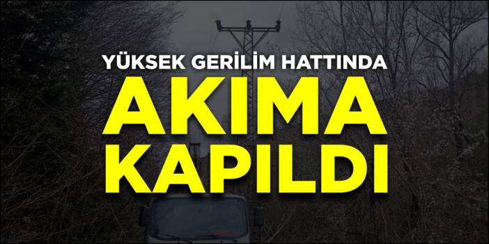Yüksek gerilim hattında akıma kapıldı!