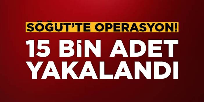 Söğüt'te Operasyon! 15 bin adet yakalandı!