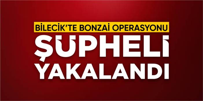 Bilecik’te bonzai operasyonu: Şüpheli yakalandı!