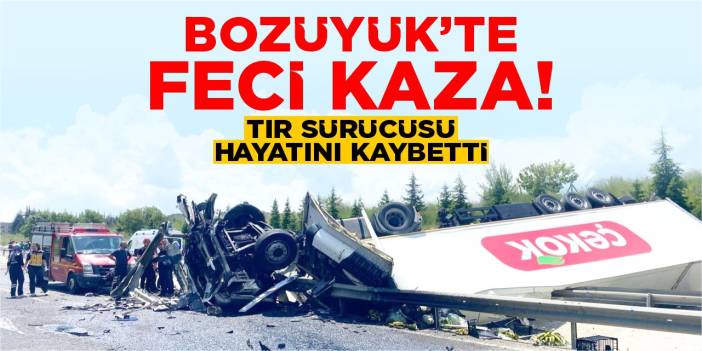 Bozüyük’te feci kaza: Tır sürücüsü hayatını kaybetti