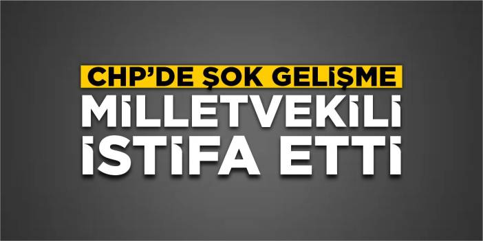 CHP'li vekil Nimet Özdemir partisinden istifa etti!