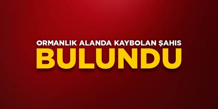 Bilecik'te ormanlık alanda kaybolan şahıs bulundu
