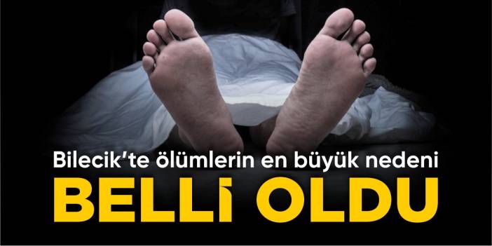 Bilecik’te ölümlerin en büyük nedeni belli oldu