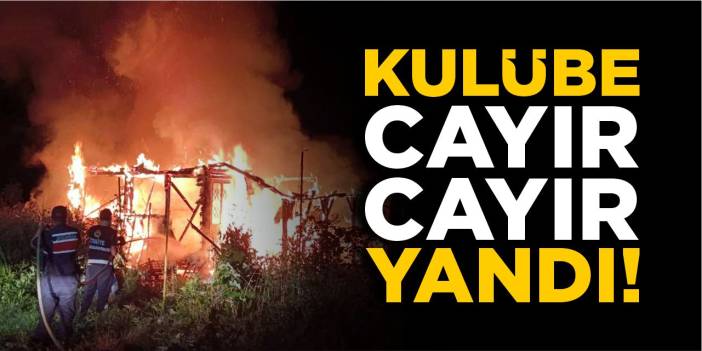 Bilecik'te Tarladaki Kulübe Alevlere Teslim Oldu