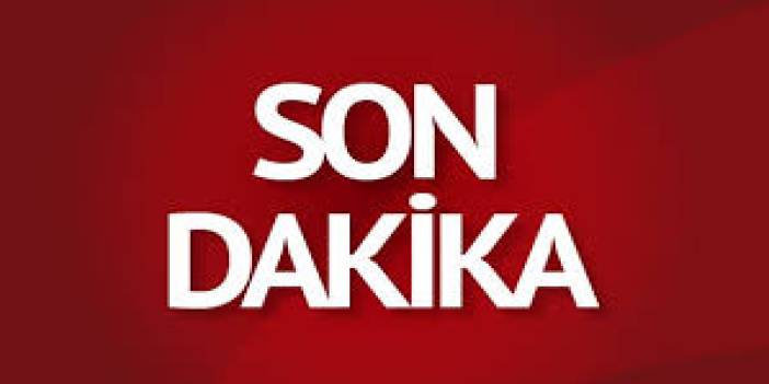 Bilecik'te orman yangını