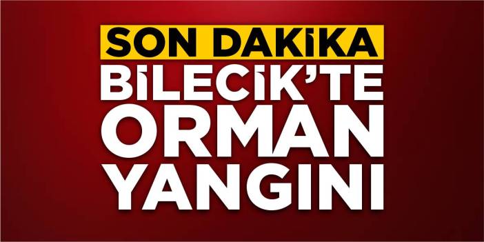 Son dakika: Bilecik'te orman yangını