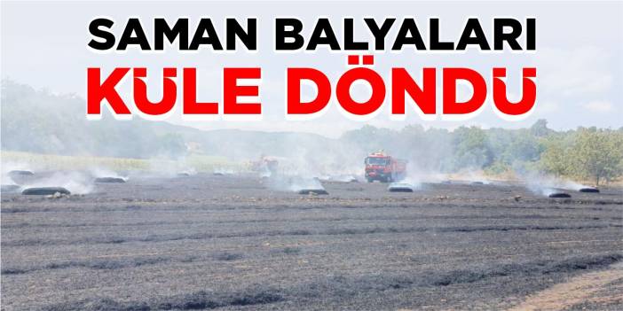 Saman balyaları küle döndü