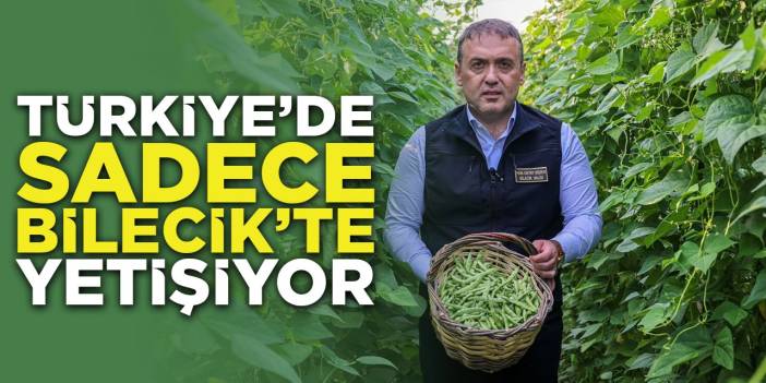 Türkiye'de Sadece Bilecik'te Yetişiyor