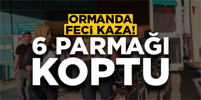 Ormanda feci kaza: 6 parmağı koptu!