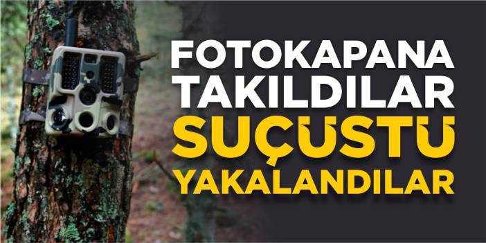 Fotokapana takıldılar, sıuçüstü yakalandılar!