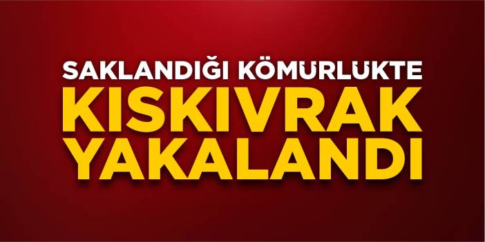 Saklandığı kömürlükte kıskıvrak yakalandı!