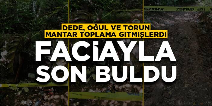 Mantar toplamaya gitmişlerdi: Faciayla son buldu!
