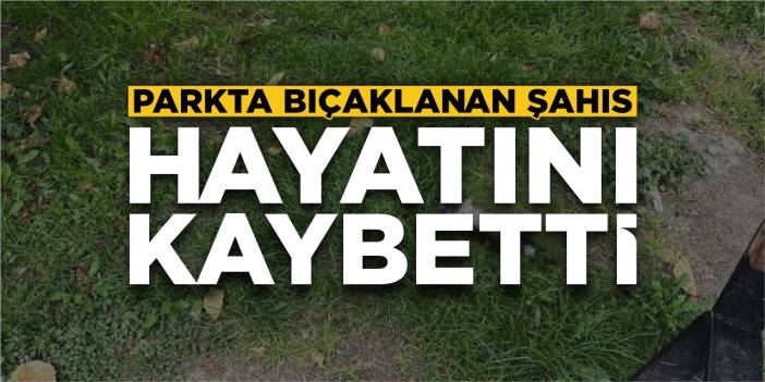Parkta bıçaklanan şahıs hayatını kaybetti!