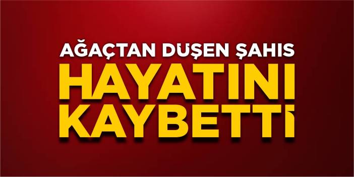 Ağaçtan düşen şahıs hayatını kaybetti!
