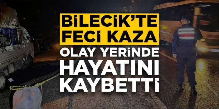 Bilecik’te feci kaza: Olay yerinde hayatını kaybetti!