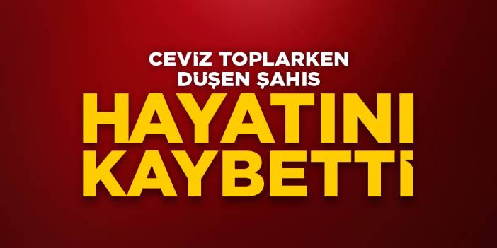 Bilecik'te ceviz toplarken düşen şahıs hayatını kaybetti