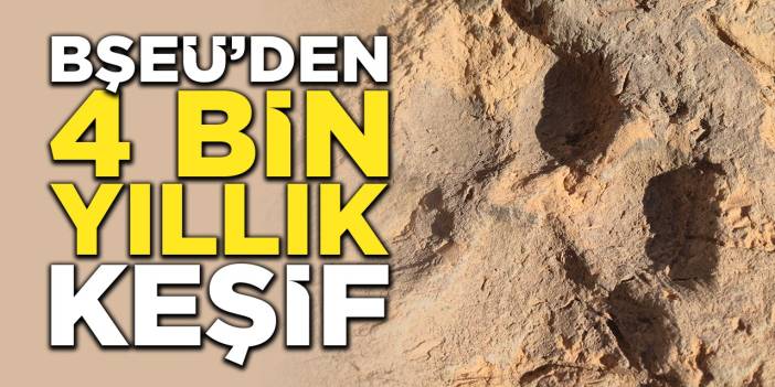 BŞEÜ'den 4 bin yıllık keşif