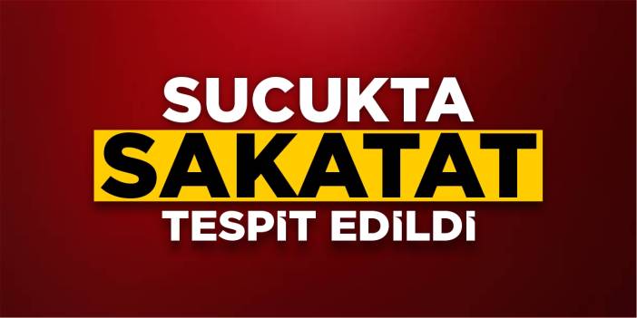 Bilecik’te sucukta sakatat tespit edildi!