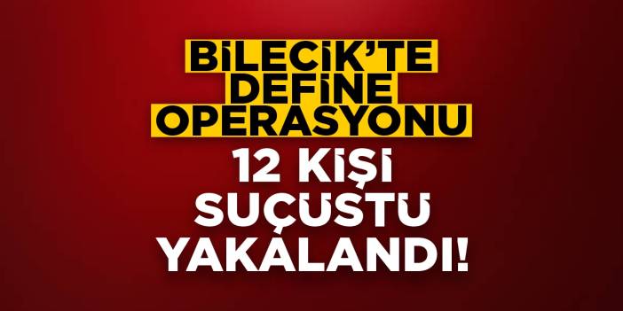 Bilecik'te define operasyonu! 12 kişi suçüstü yakalandı!