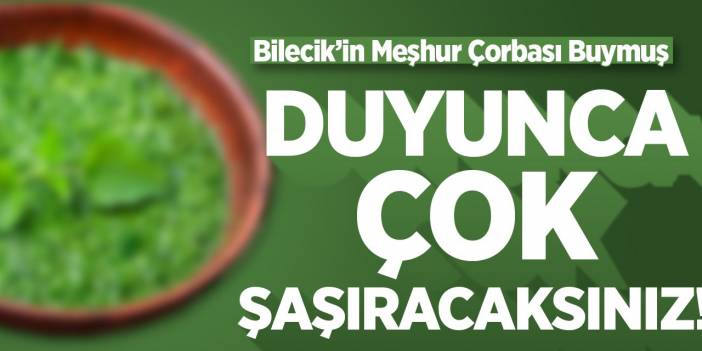 Bilecik’in meşhur lezzeti: Isırgan otlu çorba