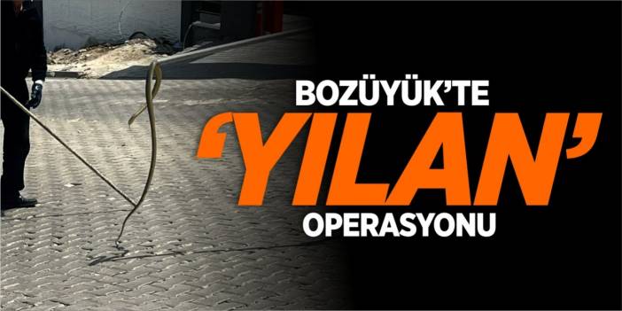 Bozüyük’te ‘Yılan’ operasyonu!