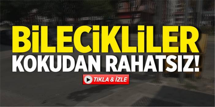 Bilecikliler kokudan rahatsız!