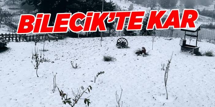 Bilecik'te kar