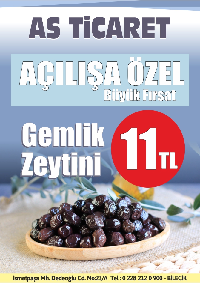 gemlik-zeytini.jpg