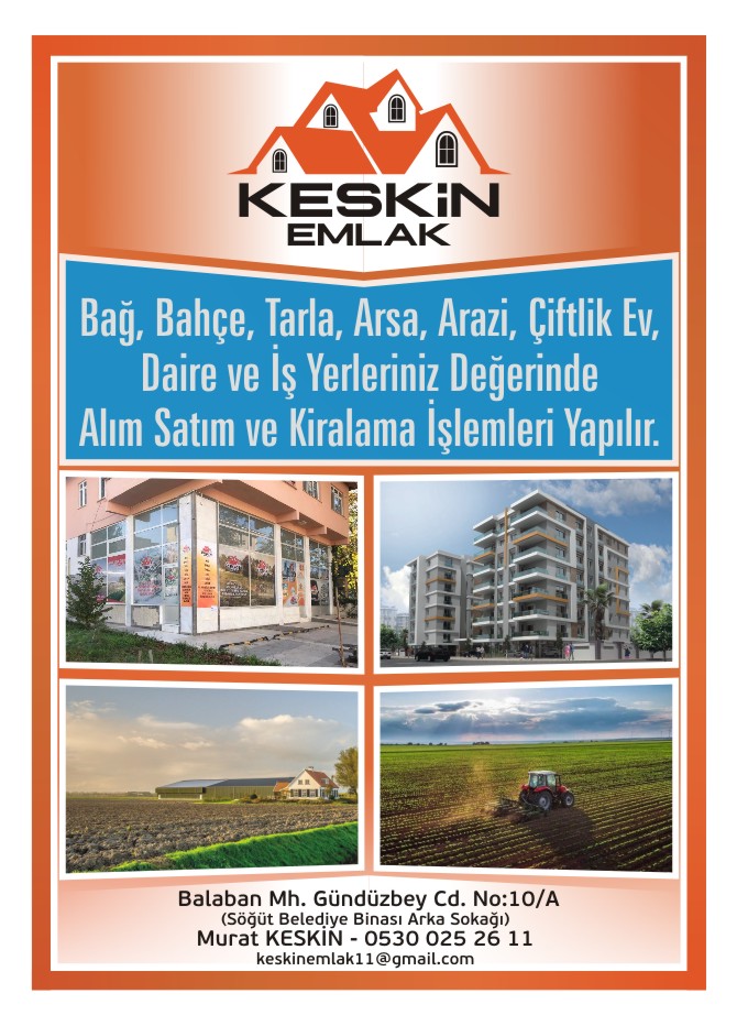 keskin-emlak-internet-sitesi1.jpg