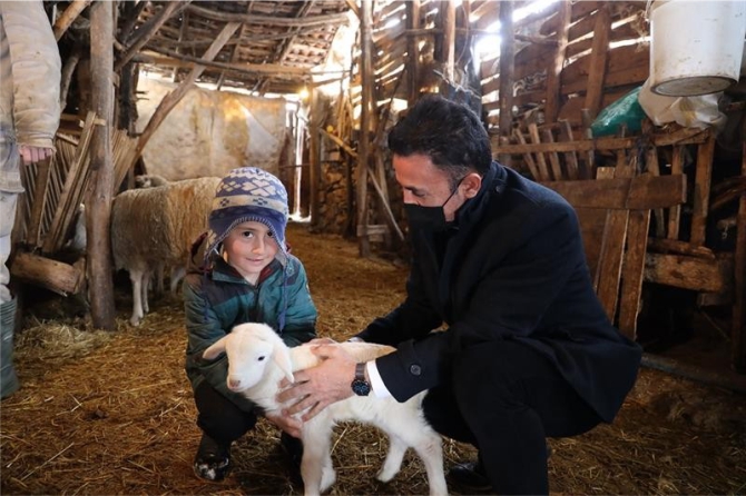 6-hayvanla-basladi-simdi-5e-katladi2.jpg