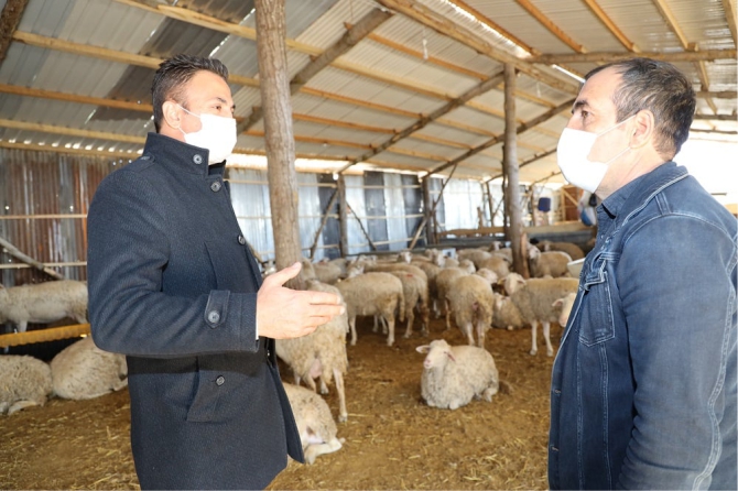 bilecikten-turkiyeye-ornek-proje2.jpg